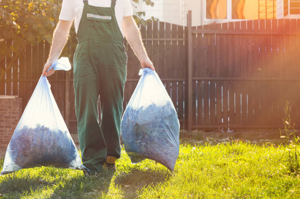 Best Shed Removal  in East Cleveland, TN